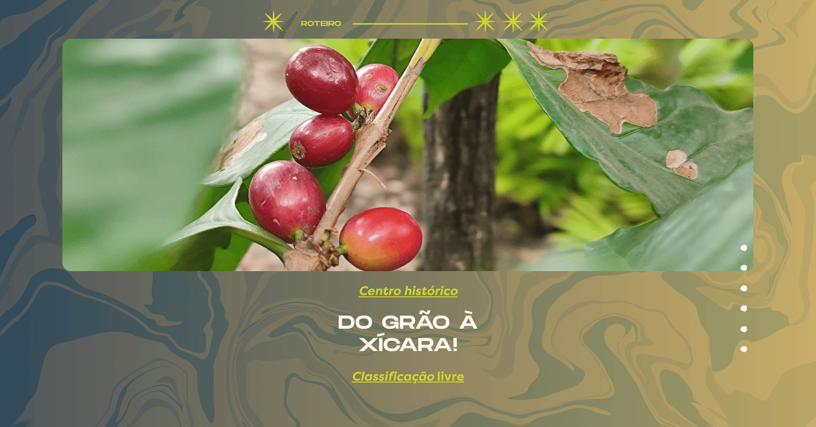 Do grão à xícara: pequenos prazeres do dia a dia.